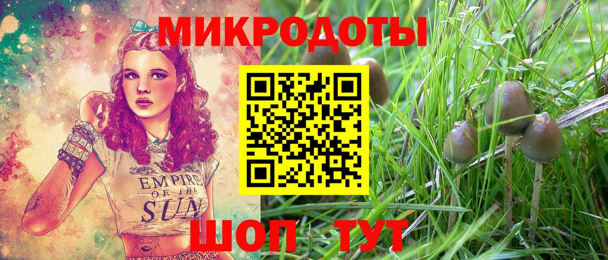 Ачхой-Мартан  Псилоцибиновые грибы Psilocybine cubensis  купить наркотики сайты  Вход с VPN 