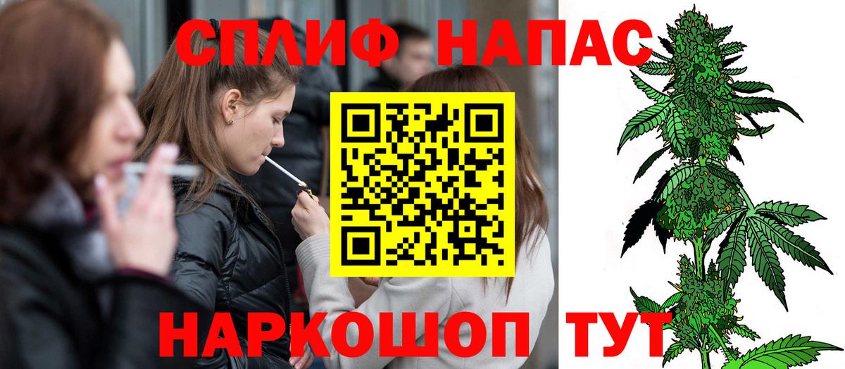 Ачхой-Мартан  Марихуана план  Вход с VPN  Конопля THC 21% 